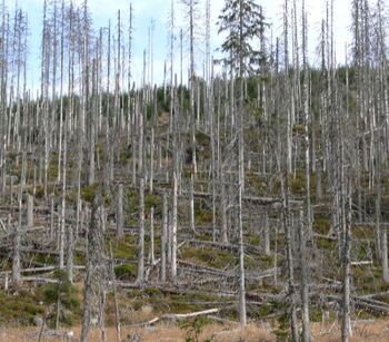 Klimawandel
