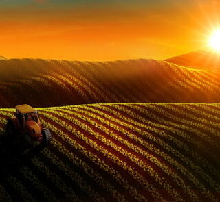 Agrarindustrie der EU