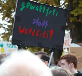 Fridays For Future (fff_2)